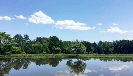 田舎暮らしの詩　～長野県伊那市より　VOL.1～　田植え