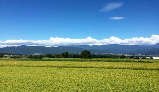 田舎暮らしの詩　～長野県伊那市より　VOL.8～　夏期講習