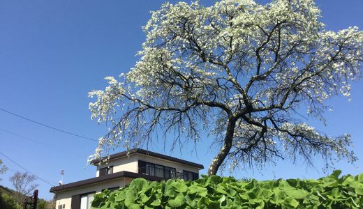 田舎暮らしの詩　～長野県伊那市より　VOL.19～　田舎で暮らすということ